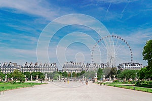 Tuileries garden, Paris