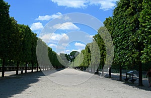 Tuileries Garden in Paris, France