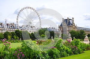 Tuileries garden side, Paris photo