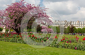 Tuileries Gardens