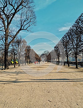 Tuilleries garden, royal garden of the Louvre Museum, Paris, France photo