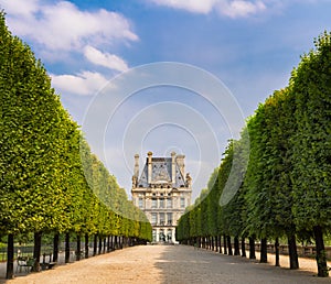 Tuilleries Garden tree-lined vista leading to Louvre Museum, Paris, France photo