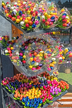 Tuilps Bouquets Souvenirs