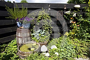 Tuin, Garden