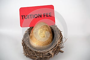 Tuition fee concept