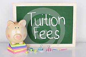 Tuition Fees Saving For School photo