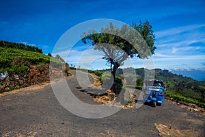 Rikshaw in Tea field plantations, Sri Lanka