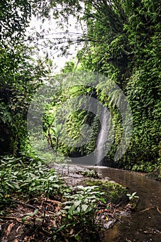 Tukad Cepung waterfall