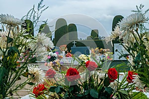 TULCÃÂ¡N, ECUADOR - Dec 26, 2018: Flores en el Cementerio photo