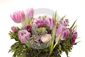 Tulip, Anemone, Lilac & Berries