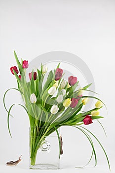 Tulip arrangement with slugs