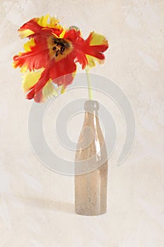 Tulip in beer bottle.