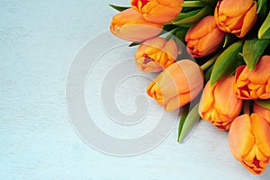 Tulip bouquet on blue background