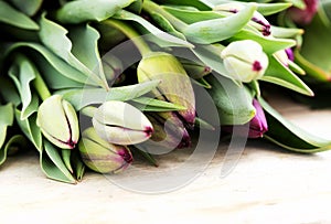 Tulip bouquet still life