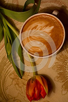 Tulip and cappuccino still life picture