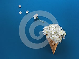 Tulip with cereals and macaroons in box and cup of coffee