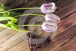 Tulip and chocolate on wooden background