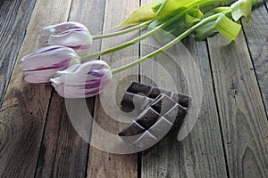 Tulip and chocolate on wooden background