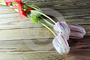 Tulip and chocolate on wooden background