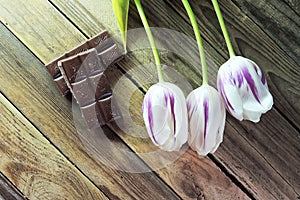 Tulip and chocolate on wooden background