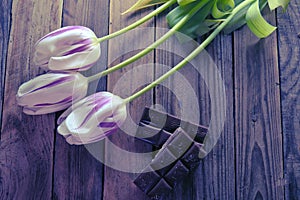 Tulip and chocolate on wooden background