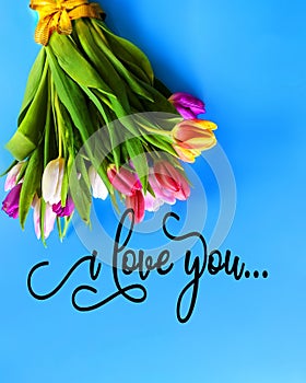 Tulip colorful flowers festive on   blue  bouquet love text quotes