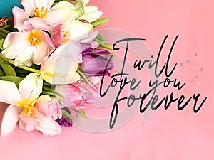 Tulip colorful flowers  festive bouquet floral on white pink blue background , valentines day or women day  on best wishes love qu