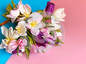Tulip colorful flowers  festive bouquet floral on white pink blue background , valentines day or women day  on best wishes love qu