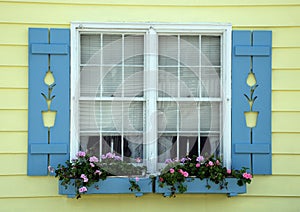 Tulip Cottage Window