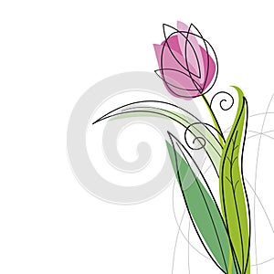 Tulip design photo