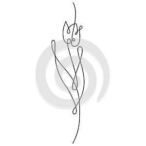 Tulip drawing in one line drawing, minimal art