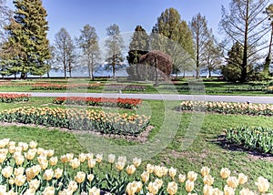 Tulip feast, Morges, Switzerland