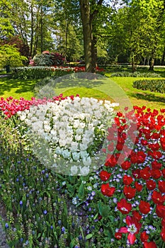 Tulip field in Keukenhof Gardens, Lisse, Netherlands