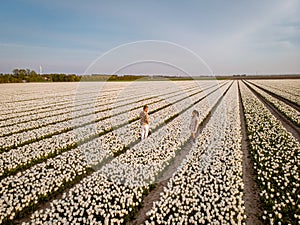 Tulip fields in the Netherlands, couple men and woman in flower field during Spring in the Nethertlands