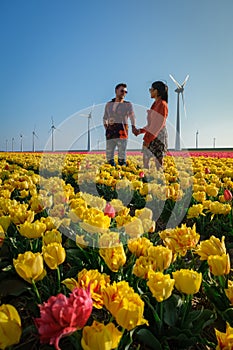 Tulip fields in the Netherlands, couple men and woman in flower field during Spring in the Nethertlands