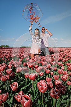 Tulip fields in the Netherlands, couple men and woman in flower field during Spring in the Nethertlands