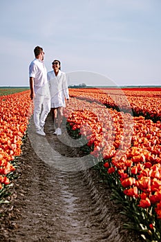 Tulip fields in the Netherlands, couple men and woman in flower field during Spring in the Nethertlands