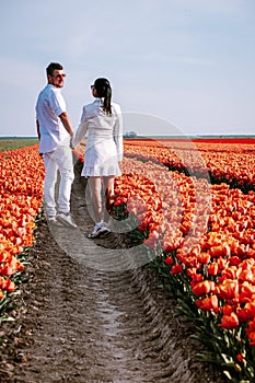 Tulip fields in the Netherlands, couple men and woman in flower field during Spring in the Nethertlands