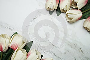 Tulip flower border frame with space copy on marble background