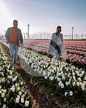 Tulip flower field during sunset dusk in the Netherlands Noordoostpolder Europe, happy young couple men and woman with