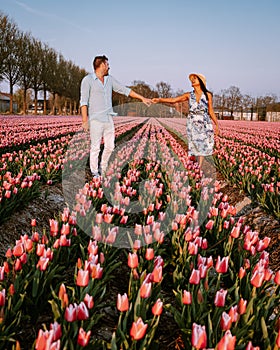 Tulip flower field during sunset dusk in the Netherlands Noordoostpolder Europe, happy young couple men and woman with