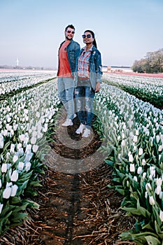 Tulip flower field during sunset dusk in the Netherlands Noordoostpolder Europe, happy young couple men and woman with