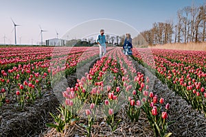 Tulip flower field during sunset dusk in the Netherlands Noordoostpolder Europe, happy young couple men and woman with