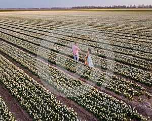 Tulip flower field during sunset dusk in the Netherlands Noordoostpolder Europe, happy young couple men and woman with