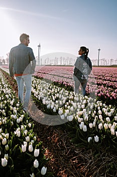 Tulip flower field during sunset dusk in the Netherlands Noordoostpolder Europe, happy young couple men and woman with