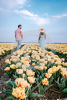 Tulip flower field during sunset dusk in the Netherlands Noordoostpolder Europe, happy young couple men and woman with