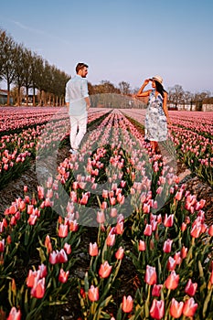 Tulip flower field during sunset dusk in the Netherlands Noordoostpolder Europe, happy young couple men and woman with