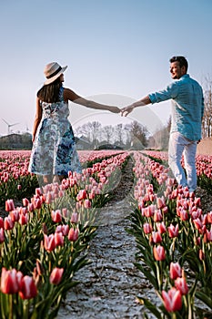 Tulip flower field during sunset dusk in the Netherlands Noordoostpolder Europe, happy young couple men and woman with