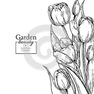 Tulip flower and leaves drawing border. Vector hand drawn engraved floral frame.