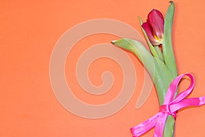 Tulip flower on orange background. Floral banner under the text. Orange background